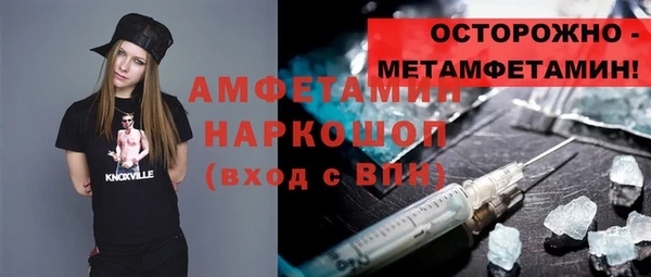 мет Алексин
