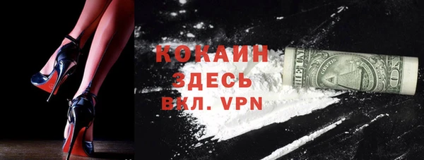 хмурый Пересвет
