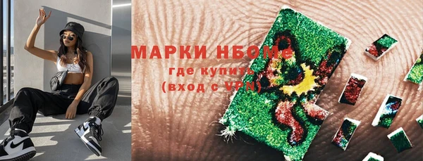 мет Алексин