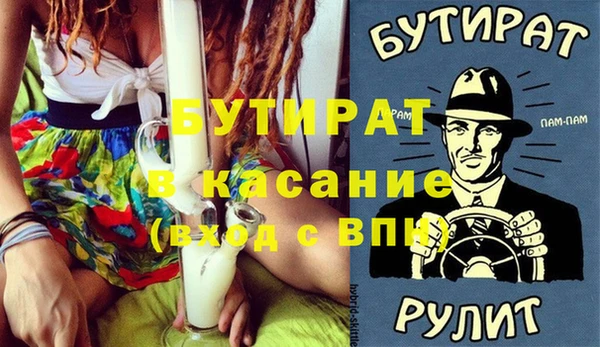 хмурый Пересвет