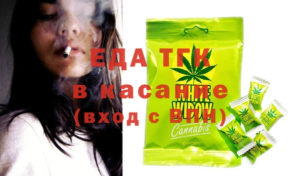 хмурый Пересвет