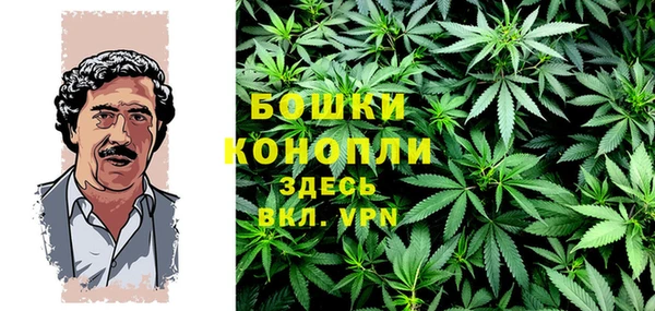 молекула духа Переславль-Залесский
